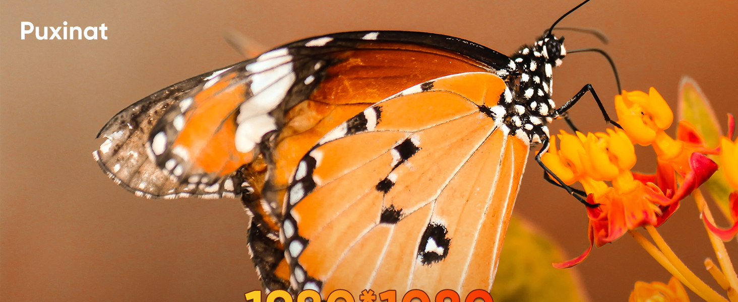 Портативний проєктор 4K Native 1080P з Wi-Fi, Bluetooth та автоматичною корекцією трапецеїдальних спотворень. Підходить для домашнього кінотеатру та використання на відкритому повітрі. Сумісний з ноутбуком, смартфоном та мишкою.