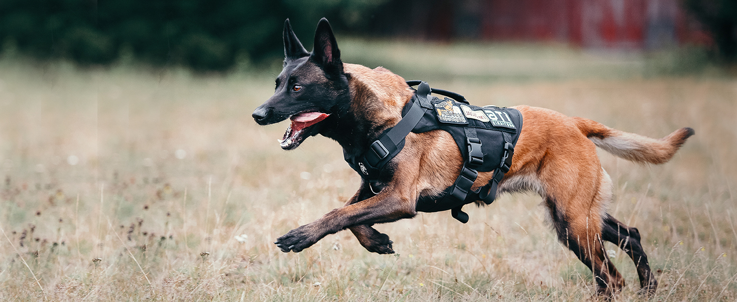 Шлейка для собак OneTigris AIRE MESH, великі породи, тактична, анти-тяга, з 2 ручками, регульована, дихаюча, зелена L (Обіх: 45-63см, Груди: 68-91см)