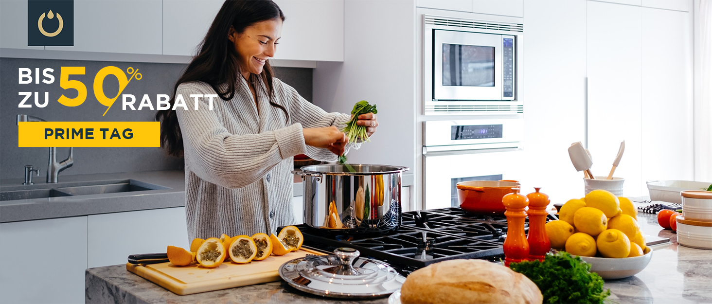 Змішувач кухонний FORIOUS з висувною лійкою та душем, 360° обертання, 2 режими, нержавіюча сталь