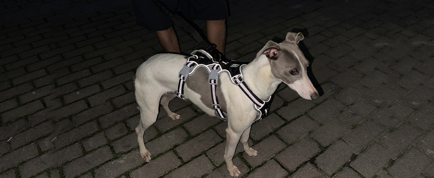 Нашийник для собак Huntboo, великі породи, анти-злам, світловідбиваючий, водонепроникний, регульований, для прогулянок та бігу (Чорний, L, упаковка з 1)