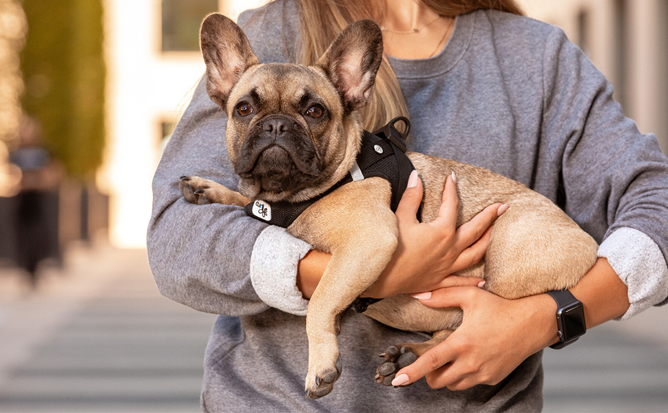 Шлейка для собак Curli Clasp Air-Mesh коричнева, 2XS