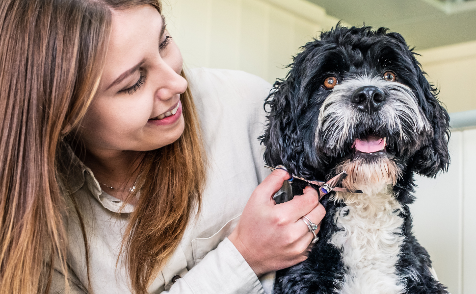 Ножиці для грумінгу собак Mikki Doodle: витончене вирівнювання та стрижка, 16,5 см