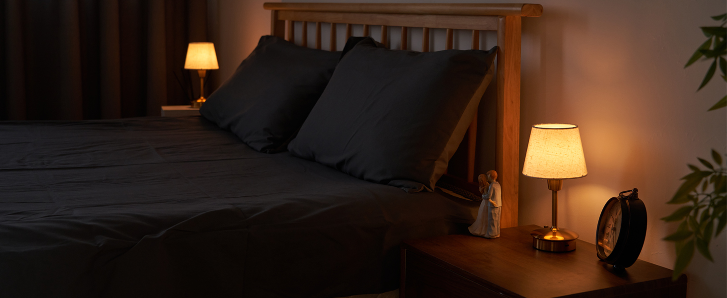 LED-лампа Egobasic настільна бездротова, 5200mAh, торкання, диммування, для дому та вулиці