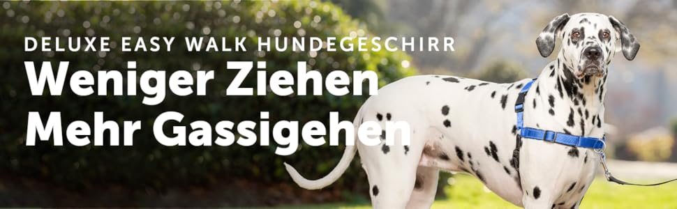 Нашийник для собак PetSafe Easy Walk Deluxe, без обмеження тяги, середній/великий, океаново-блакитний/чорний, з повідком 1.8 м