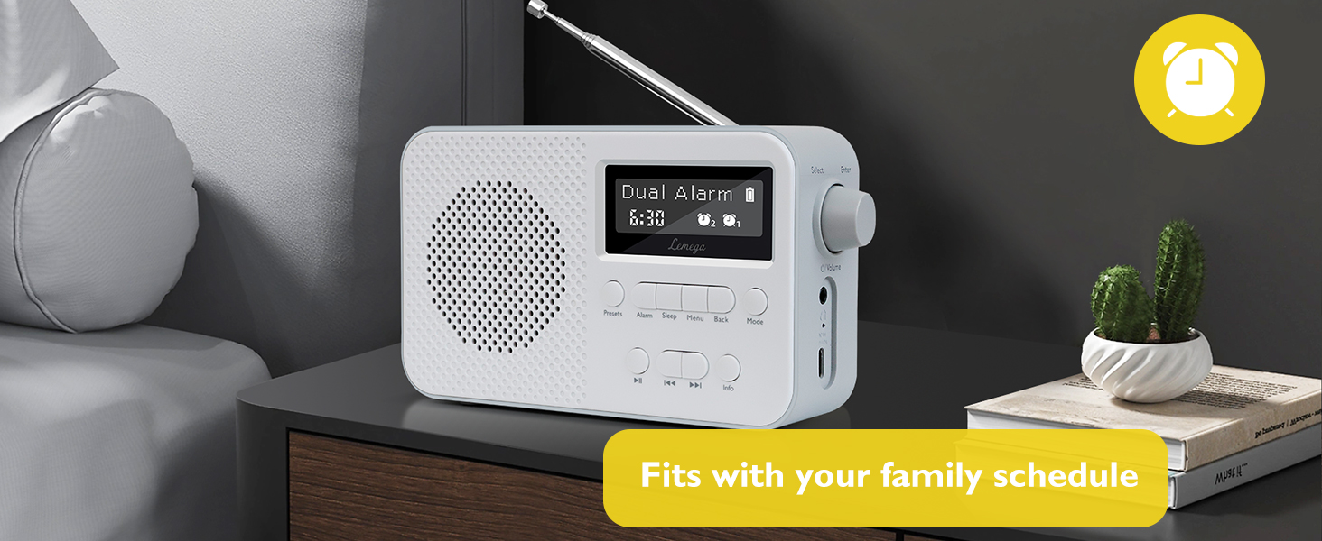 Портативне цифрове радіо LEMEGA PR2-Max DAB+/FM, Bluetooth 5.3, живлення від батарейок AA, сіре
