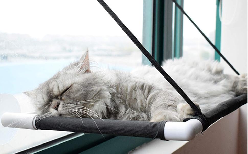 Гніздо для кота на вікно, гамак для котів, підвісна лежанка на крізь, вантажопідйомність до 10 кг