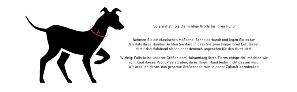 Нашийник для собак Джек Рассел Тірріер Amy - шкіряний нашийник з натуральної шкіри, з підкладкою та міцний - двошаровий нашийник для собак маленьких, середніх та великих порід (M, Коричневий) M (37.0-44.0 см)