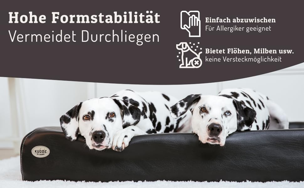 Ортопедичне ліжко для собак SABRO KUDDE Martin Rütter – Штучне шкіряне, миється, водовідштовхувальне, ергономічне, преміум аксесуар для маленьких собак, кремовий колір