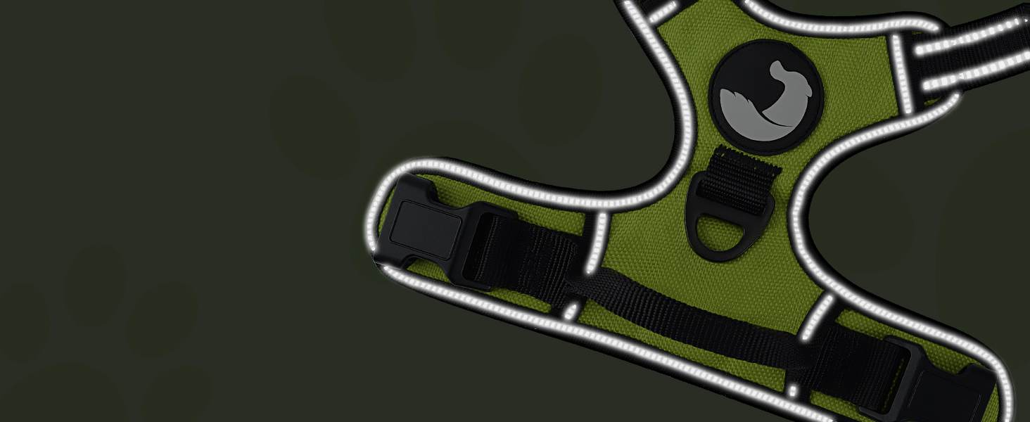 Нашийник для собак Joytale середнього розміру, світловідбиваючий, дихаючий, регульований, з ручкою для тренувань, M (1 шт., зелений)