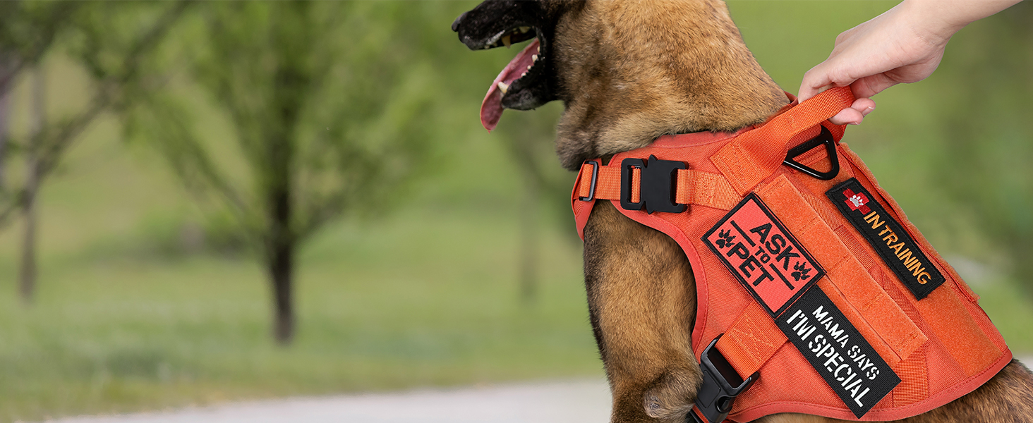 Нагрудник для собак Rabbitgoo великих порід, без натягу, тактичний з MOLLE, металеві пряжки, дихаючий, військовий, регульований, з підкладкою, L (1 шт), помаранчевий