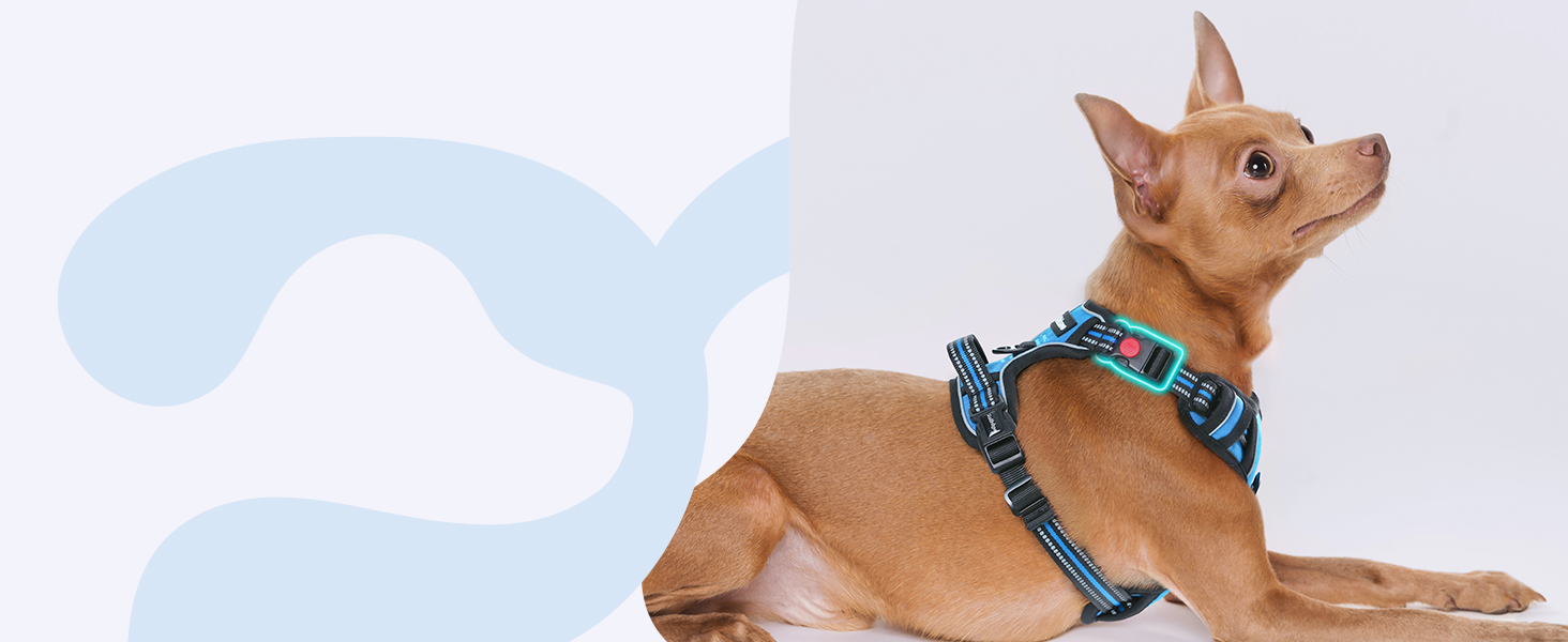 Нашийник для собак Rabbitgoo, великі породи, регульований, проти тяги, з ручкою, м'який, світловідбиваючий, блакитний, L (XL, 1 шт.)