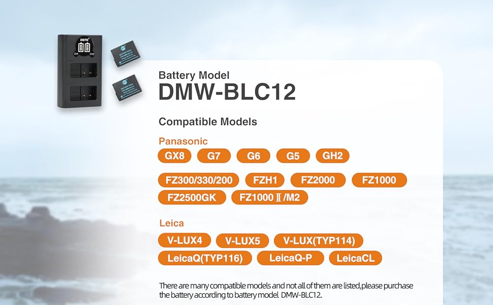 Акумулятор DSTE DMW-BLC12 + Зарядний пристрій USB для Panasonic Lumix DMC-GH2/FZ330/FZ200/FZ1000/V-LUX4/Leica Q