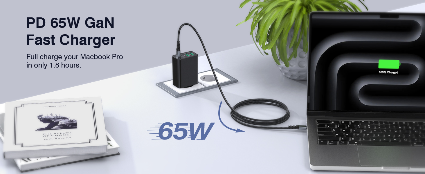 Зарядний пристрій USB-C 65W з 3 портами, кабель 2м, для MacBook, iPhone, Switch, Galaxy, Tablet, Laptop (Чорний)