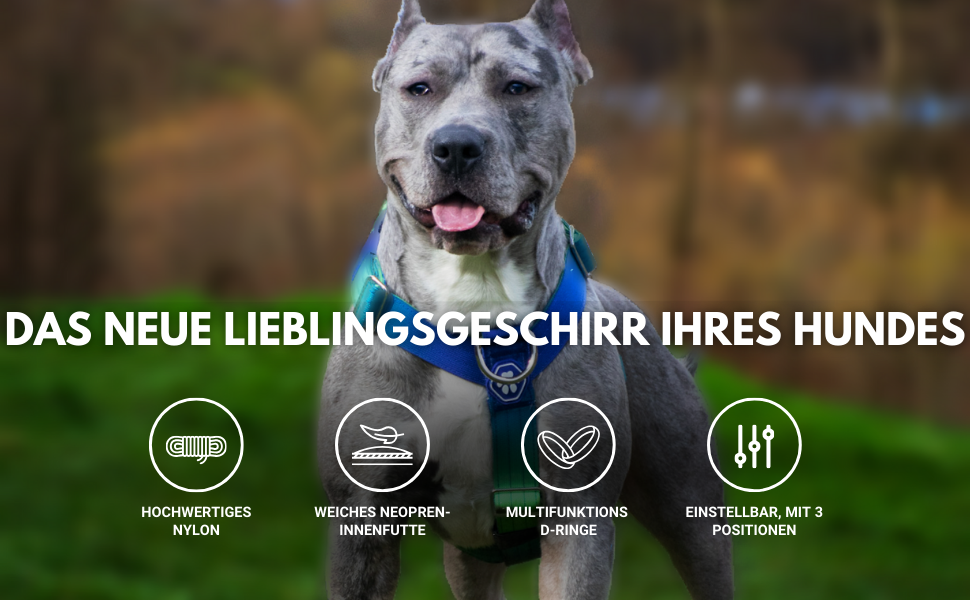 Шлейка для собак Spark Paws No Pull для великих порід, з переднім кріпленням, Y-подібна, міцна та надійна, Lime Wave, L (36-68 кг)