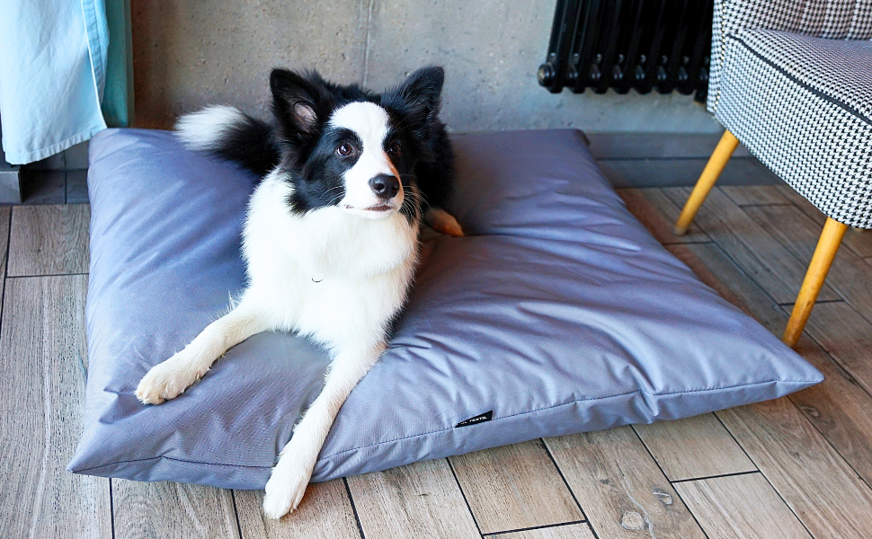 Водонепроникне собаче ліжко 80x60 см, темно-зелене, 4L Textil ZOE