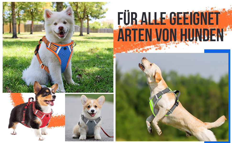 Шлейка для собак маленьких та середніх порід, Air Mesh дихаюча, з м'якою ручкою та замикаючими карабінами, вибухостійка, світловідбиваюча, червона, XS