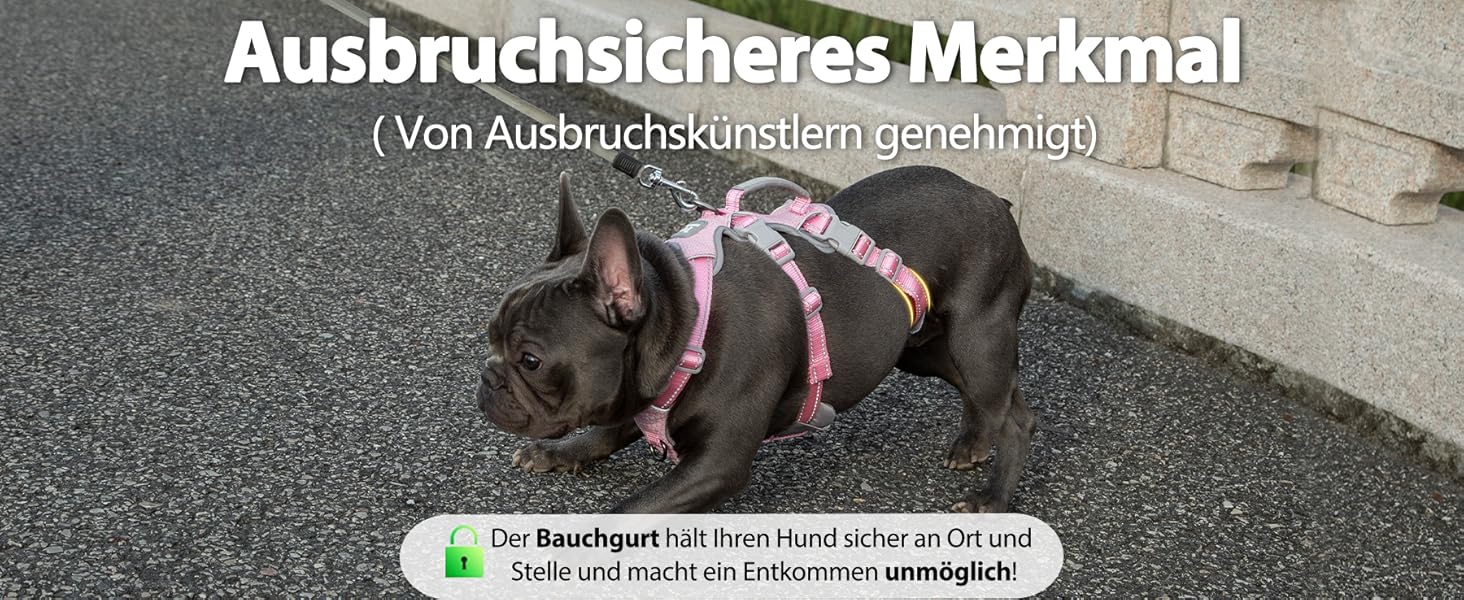 Шлейка для собак Huntboo, безпечна та витривала, з світловідбиваючими елементами та м'якою ручкою, регульована жилетка для маленьких собак, для прогулянок та тренувань (Рожева, S)