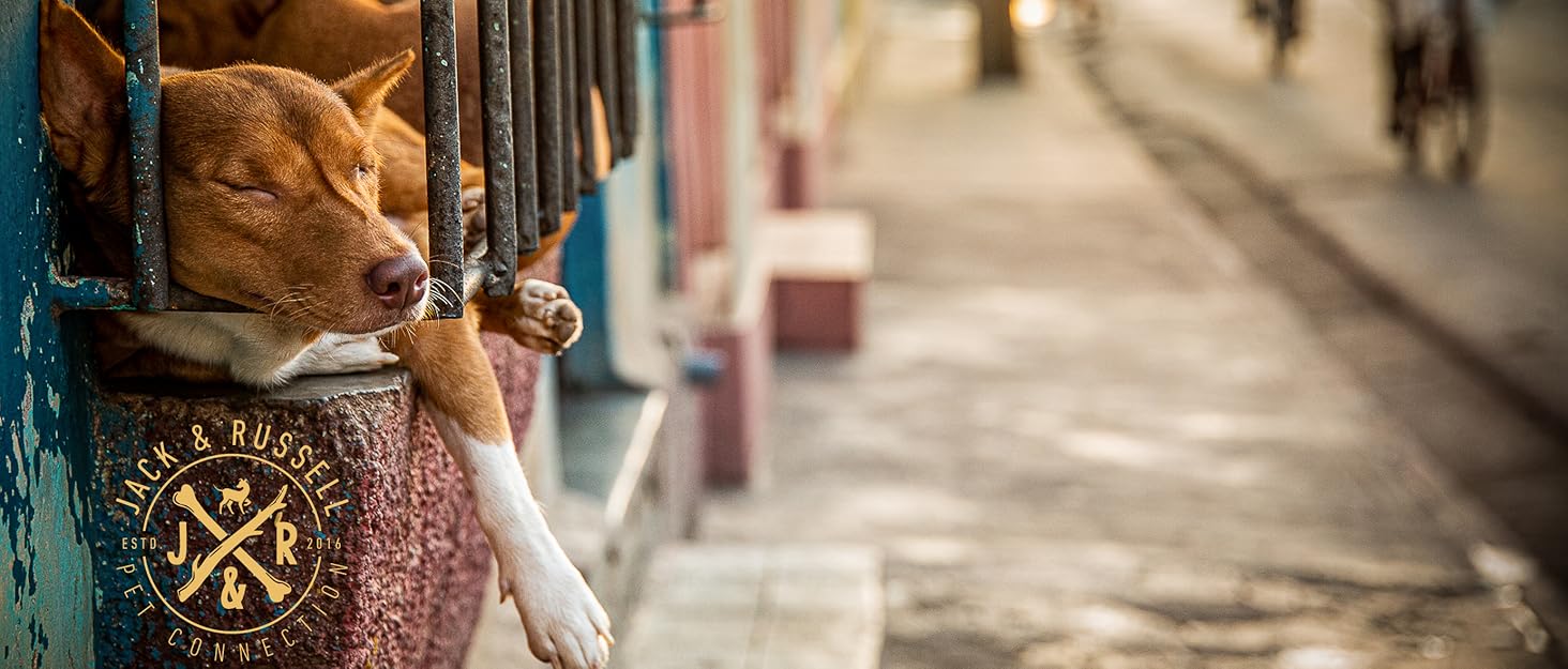 Преміум шкіряний поводок для собак Jack & Russell Dexter, 2.0м - поводок з натуральної шкіри, регульований, чорний