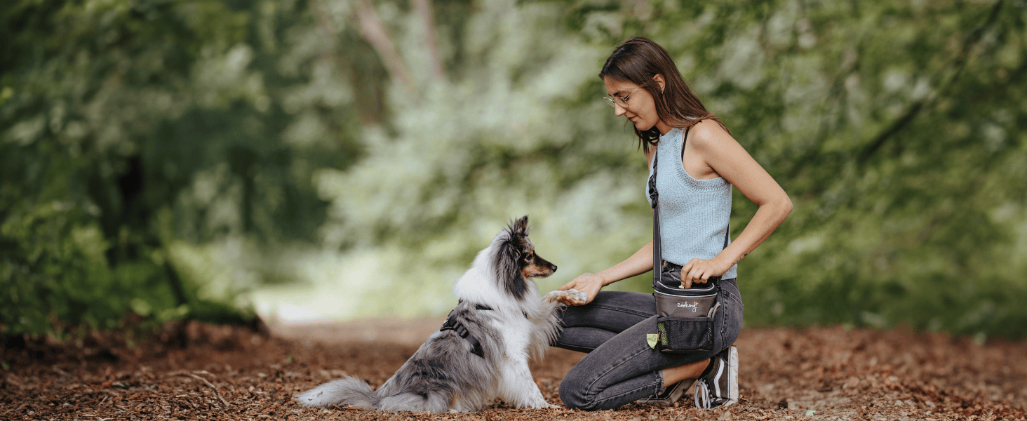 Сумка для ласощів для собак Rudelkönig - практична сумка для прогулянок та дресирування, з дозатором кульок, для підвішування, сірий колір