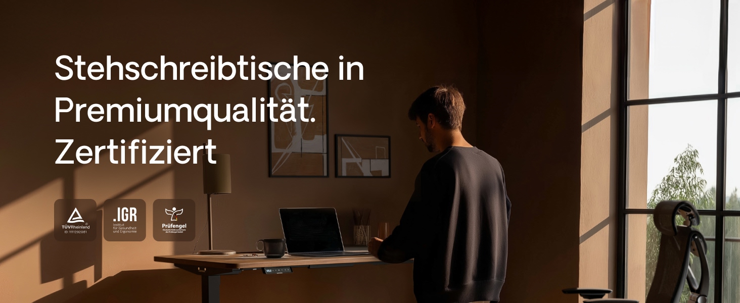 Регульований стіл Desktronic Homeone 160x80 см – електричний, з USB-портами, білий