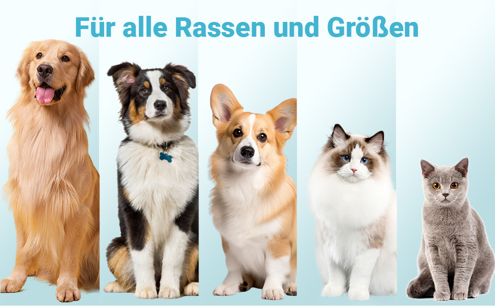 Турбунок для собак Zivacate 600 мл з контейнером для корму та пакетами для відходів - блакитний