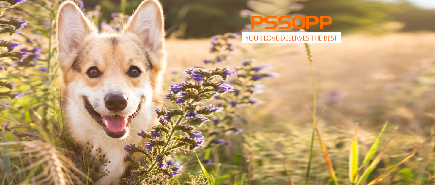 Транспортна сумка для собак і котів, складна переноска для тварин, чорна (L)