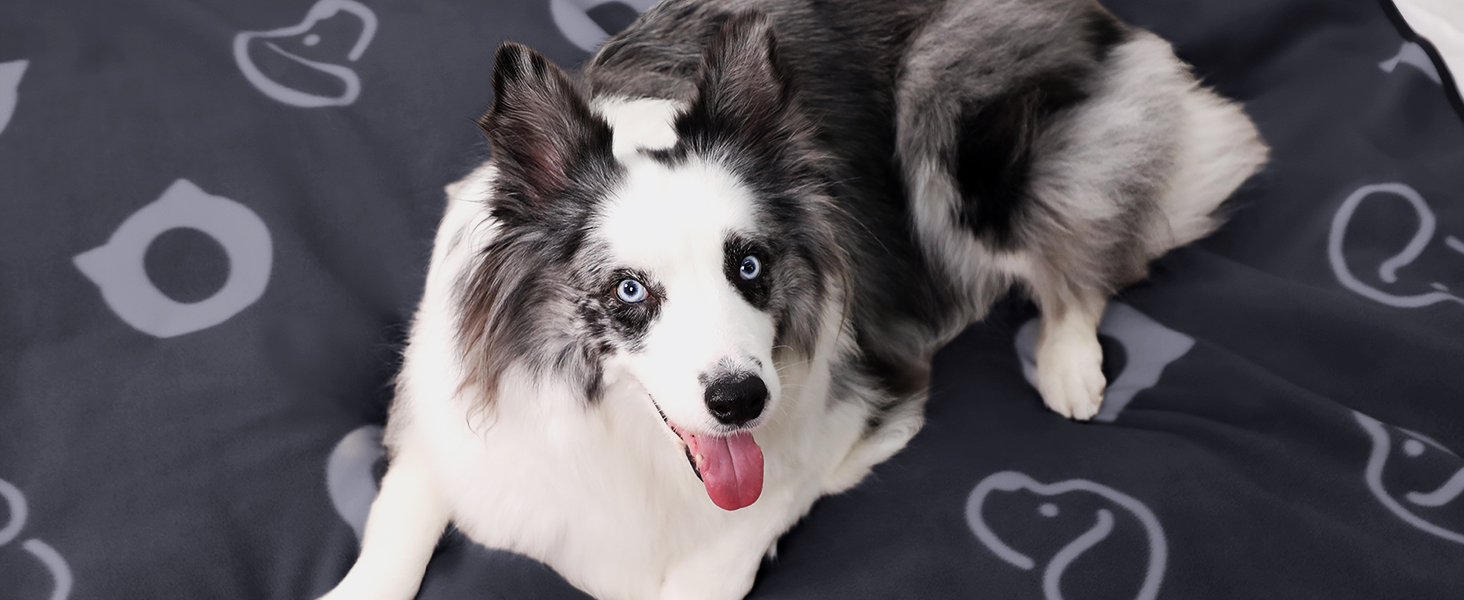 Водонепроникний килимок для собак, 152x127 см, плюшевий фланель та шерпа, для середніх та великих собак, машинне прання - Чорний (152x127 см, Сірий)