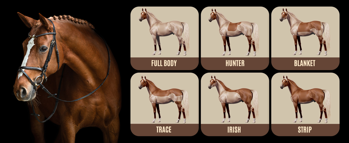 Машина для стрижки коней Oneisall бездротова, потужна, 7000 обертів, для густого та сплутаного волосся, чорна