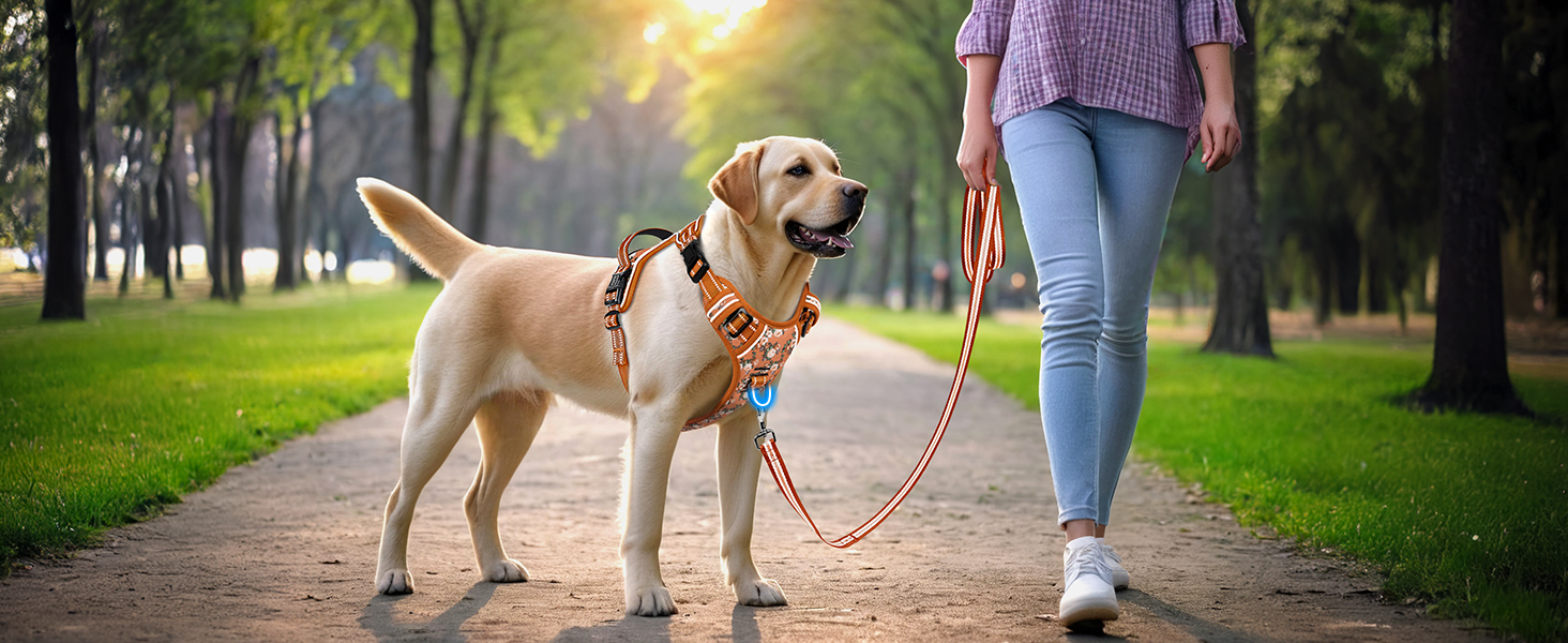 Шлейка для собак HEELE з поглинанням ривка, світловідбиваюча, для середніх собак, з м'яким ручним захопленням, коричнева, розмір M (L - обхват грудей: 43-86 см)
