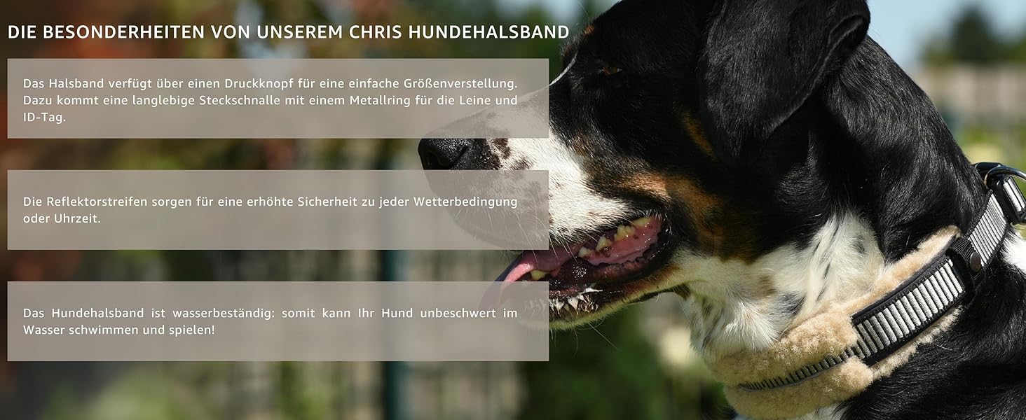 Інноваційний нашийник для собак Chris з ланолінової вовни, зменшує випадіння шерсті, з підкладкою, світловідбиваючий, регульований, для собак малого, середнього та великого розміру. Розміри: M (35-45 см), L (45-55 см), XL (55-65 см). Колір: кремовий