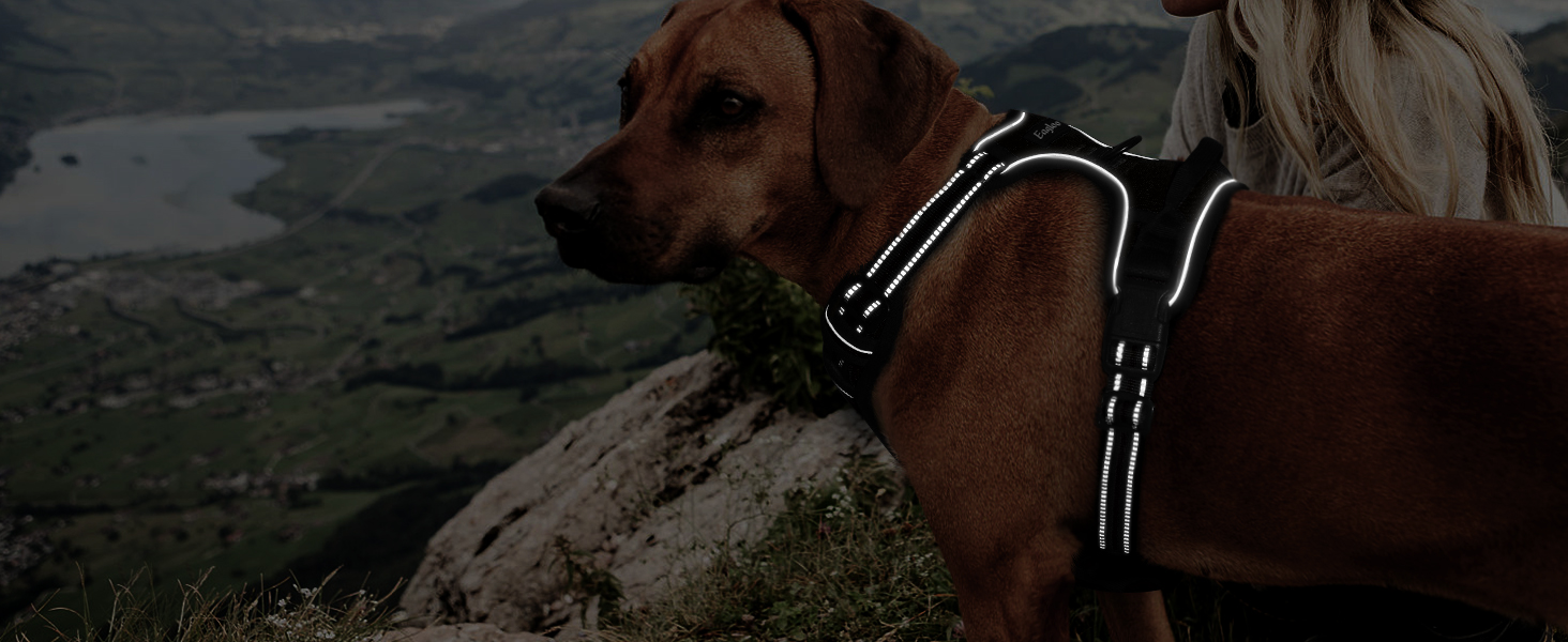 Нагрудник для собак великих порід Eagloo, чорний, розмір L, анти-тяга, з відбиваючими смугами, регульований