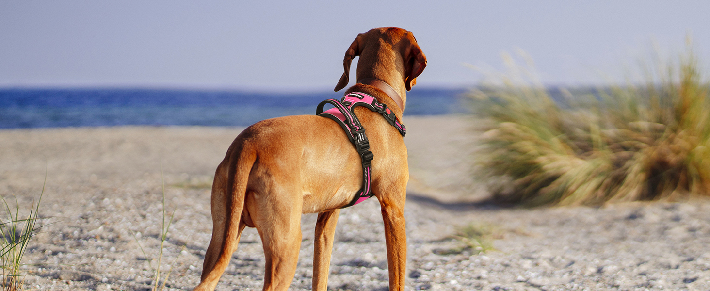 Нашийник для собак Rabbitgoo, великі породи, регульований, без натягування, з ручкою, анти-тяга, м'яка підкладка, світловідбиваючий, розмір L (XL), рожевий