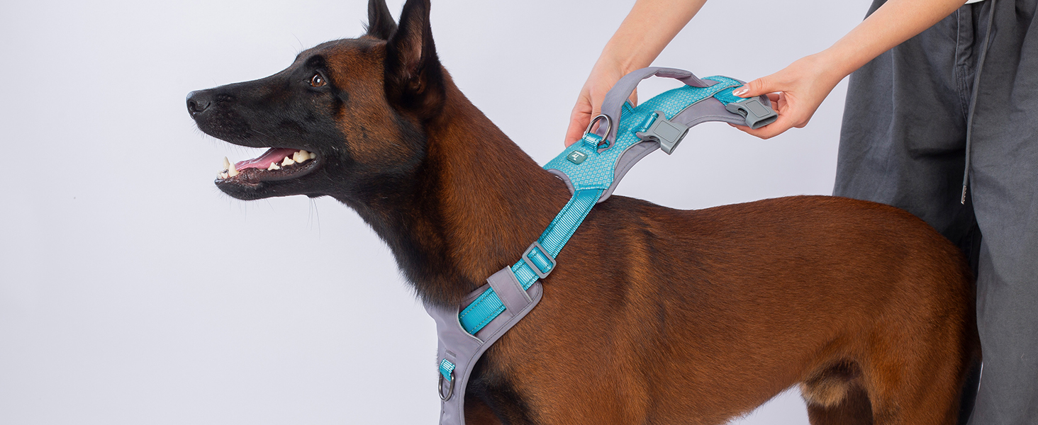 Шлейка безпеки Huntboo для собак, антизламна, від паніки, з ручкою, регульована, для малих, середніх та великих собак (M), блакитно-зелений (1 шт.)