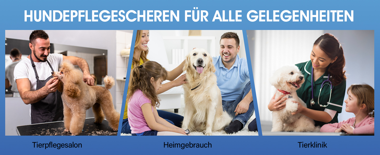 Професійна ножиця для грумінгу собак JASON Profi Fellschere - 40 зубців, з нержавіючої сталі 440C, 7 дюймів, ергономічна ручка, рожеве золото