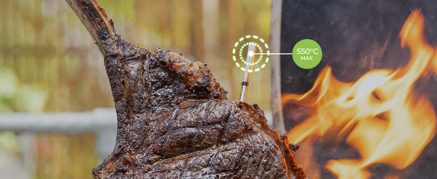 MEATER Pro 2 Plus – Розумний м'ясний термометр нового покоління, водонепроникний, до 550°C, для кухні, BBQ і гриля, багатосенсорний, велика дальність
