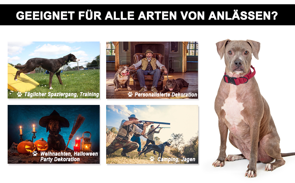 Тактичне нашийник для собак з ручкою, XL, зелений. Міцний, регульований, з металевою застібкою та неопреновою підкладкою