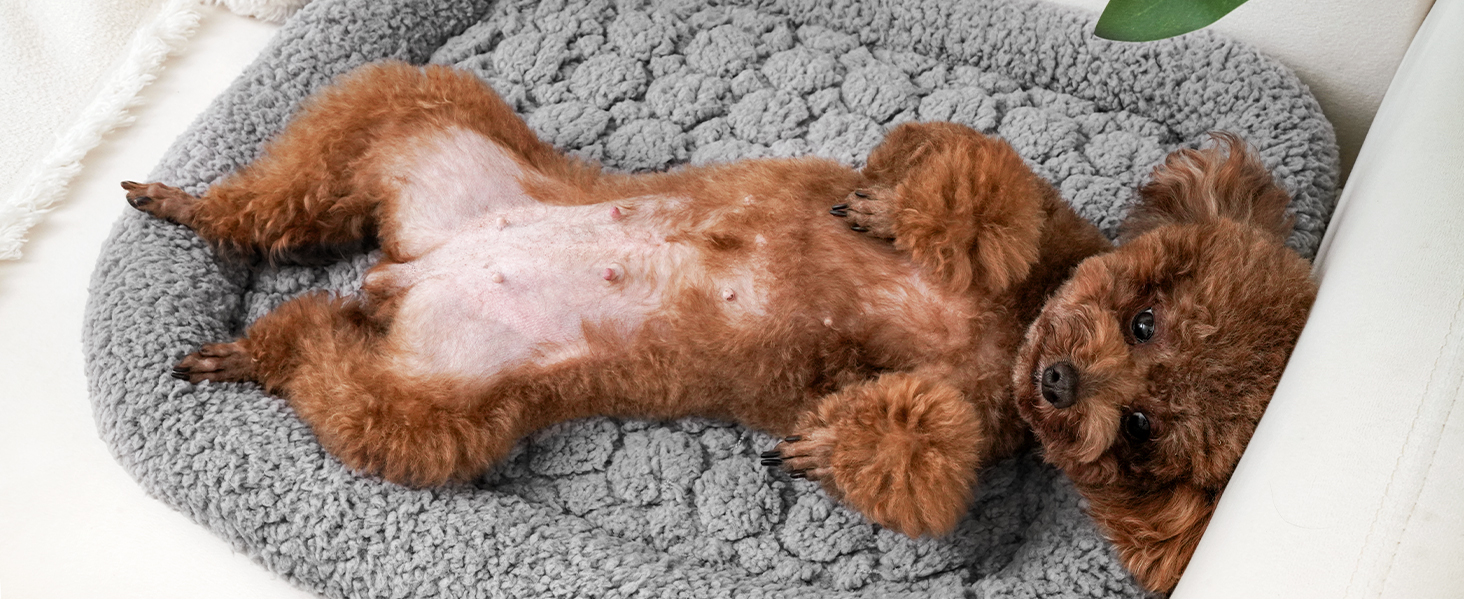 Самогріюча котяча деки Mora Pets: тепла, м'яка, 52x58 см, сіра. Самогріюча деки для котів та собак.