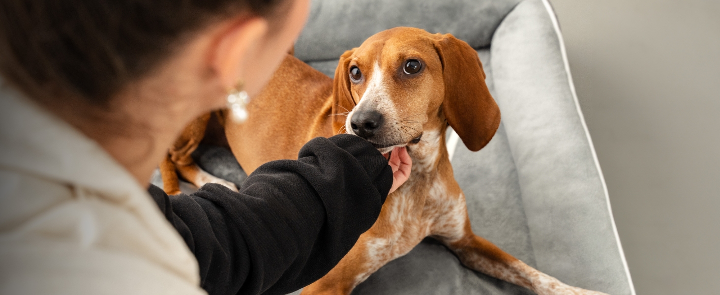 Ортопедичне ліжко для собак Lionto з піднятим бортиком, 97x71x17 см, м'який фланелевий килимок, знімний та пральний чохол, неслизьке, для собак та котів, сірий