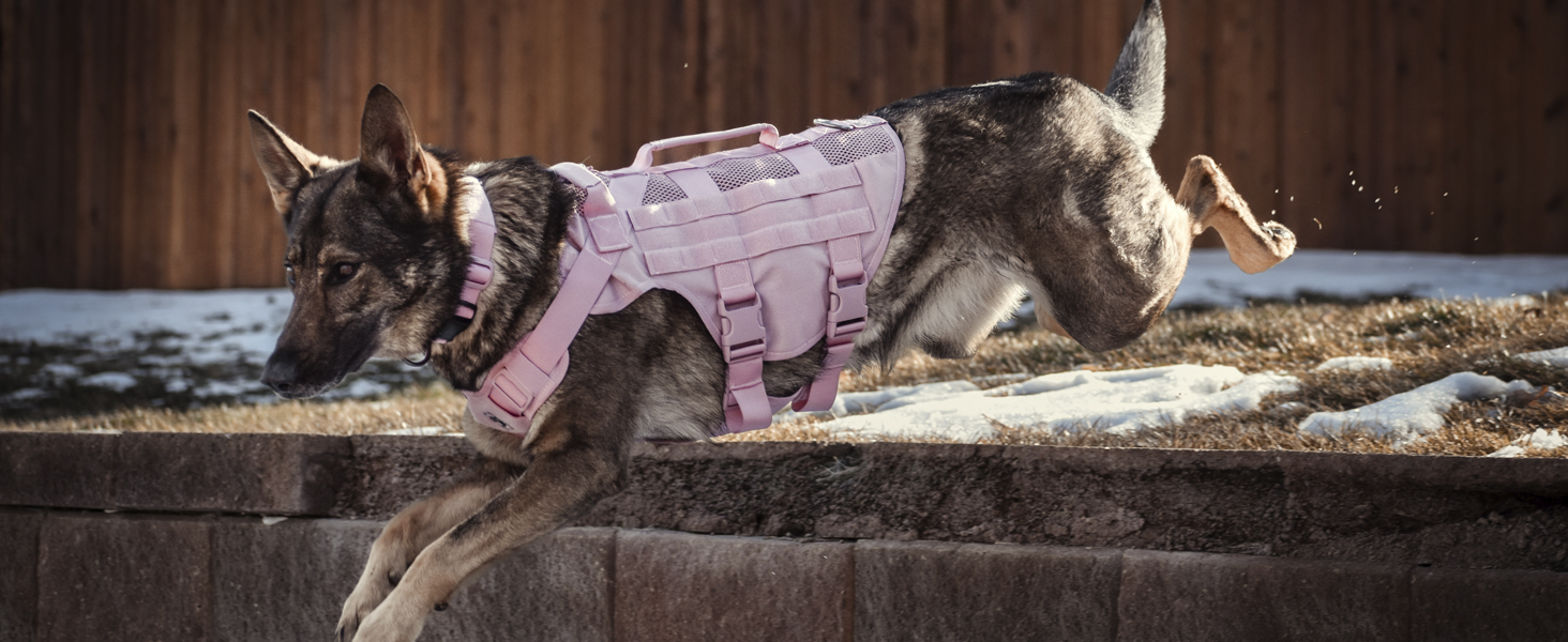 Шлейка для собак OneTigris AIRE MESH, великі породи, тактична, анти-тяга, з 2 ручками, регульована, дихаюча, зелена L (Обіх: 45-63см, Груди: 68-91см)