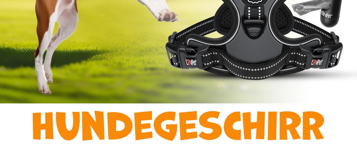 Шлейка для собак без натягу та задухи для маленьких собак та цуценят, дихаюча та м'яка, світловідбиваюча | Шлейка No-Pull з ручками та рулетами для відходів | Регульована шлейка з ручкою, колір антрацит, розмір L