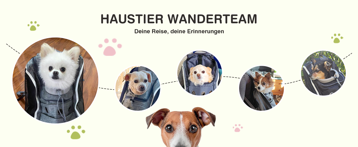 Рюкзак-переноска для собак та котів ALLSOPETS: зручний та дихаючий рюкзак для подорожей з великими котами та маленькими собаками (Світло-сірий)