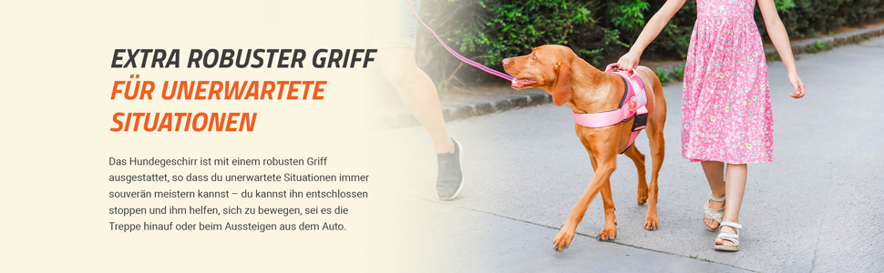 Нашийник для собак Paw Patrol JK9, розмір XS/Mini-Mini, Чейз