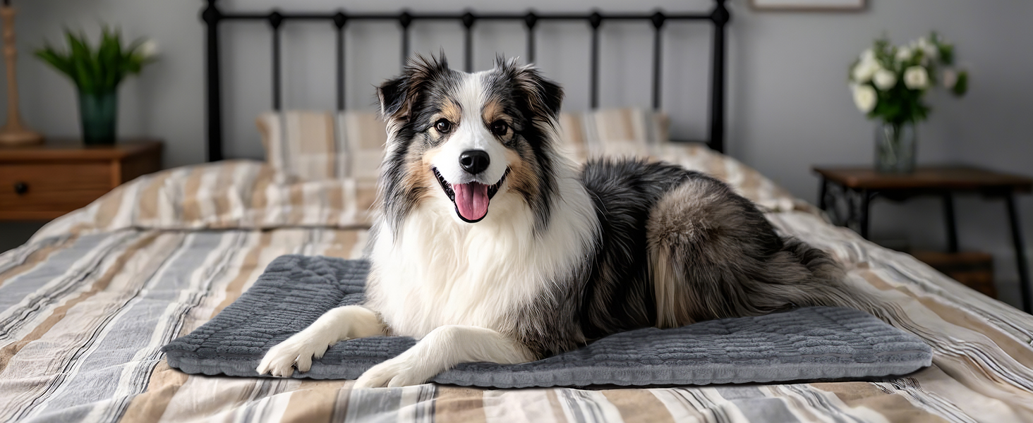 Лежанка для собак IEUUMLER, м'яка та тепла, з memory foam, 90x70 см (Сірий)