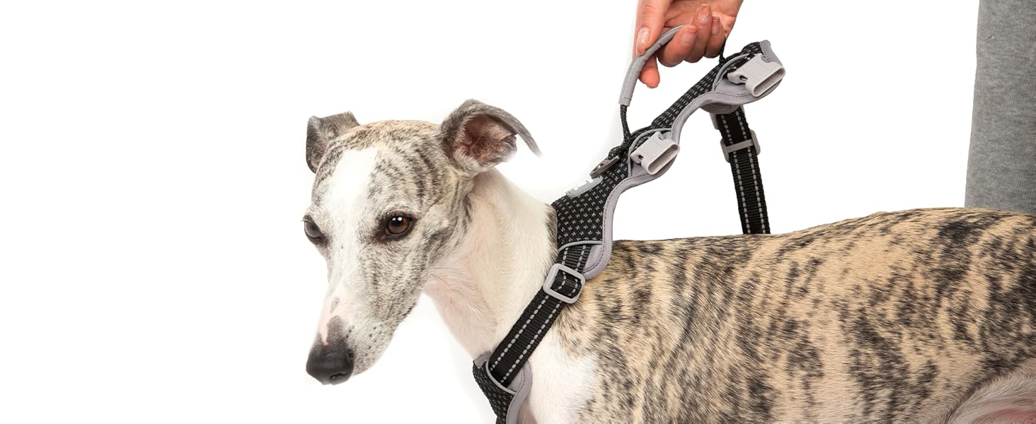 Шлейка безпеки для собак Huntboo, анти-пробіжна, світловідбиваюча з м'якою ручкою, регульована жилетка для маленьких собак, для прогулянок та тренувань (S), чорна, X-Small (упаковка з 1)