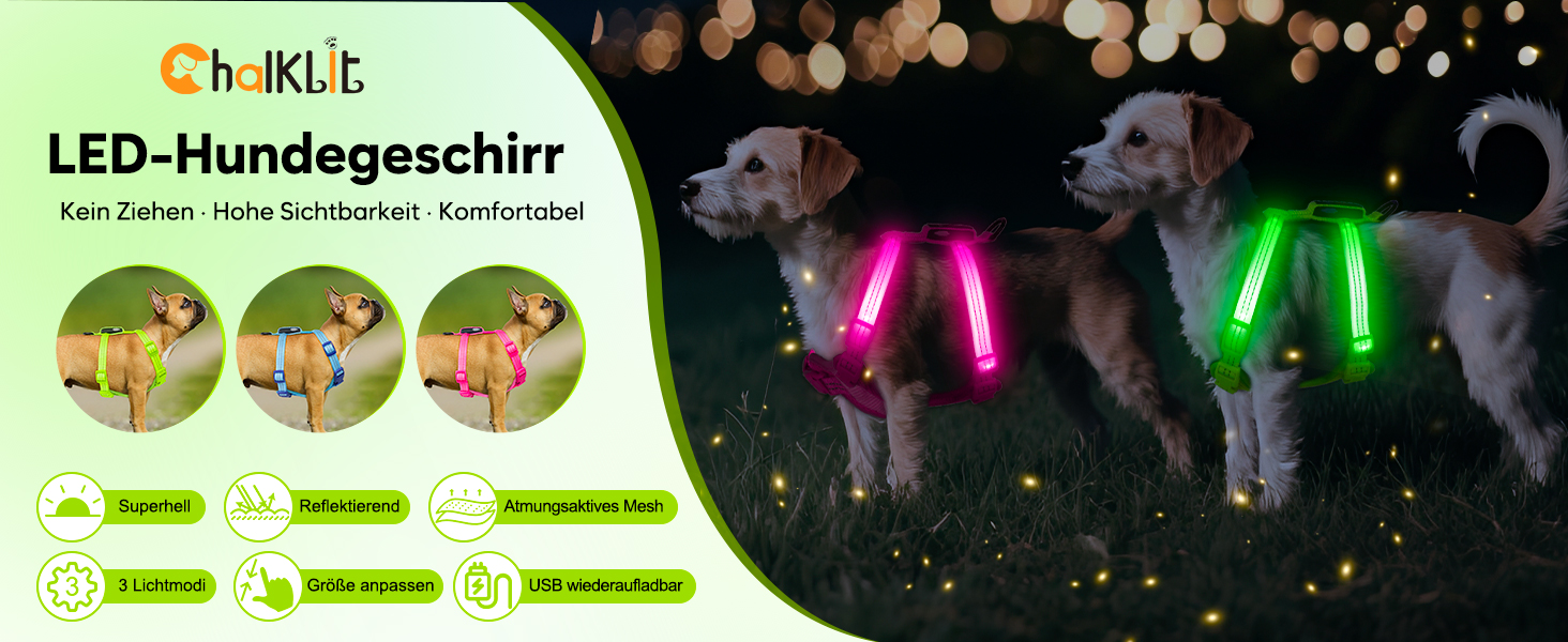 Світловідбиваючий LED нашийник для собак, USB-C, для маленьких собак, XS-S, для прогулянок вночі