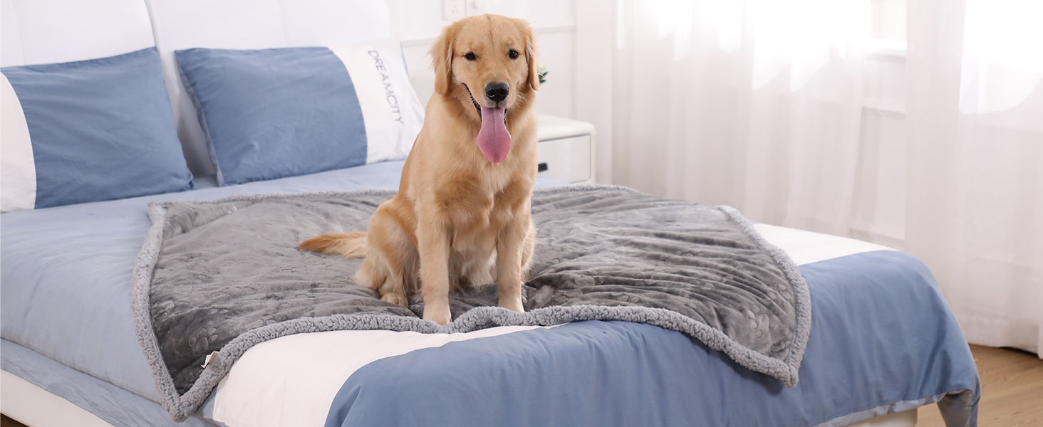 Водонепроникний коврик для собак PETTOM, 145 x 127 см, фліс Sherpa, захист дивану, миється, двосторонній, сірий колір
