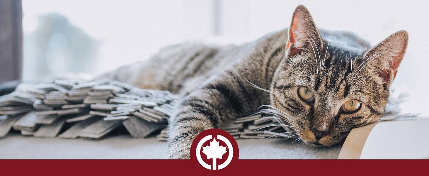 Інтерактивний килимок-іграшка для котів CanadianCat Company Coleen, інтелектуальний килим для занять і гри, сірий/коричневий, 110x90 см (ActivityTeppich COSMO)