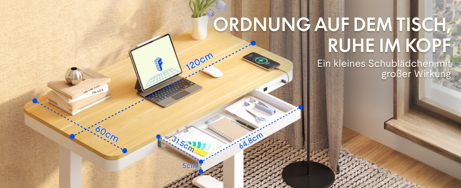 FLEXISPOT Electric Standing Desk with LED Display, Memory Function, USB Port & Drawer - 120x60cm Natural Oak