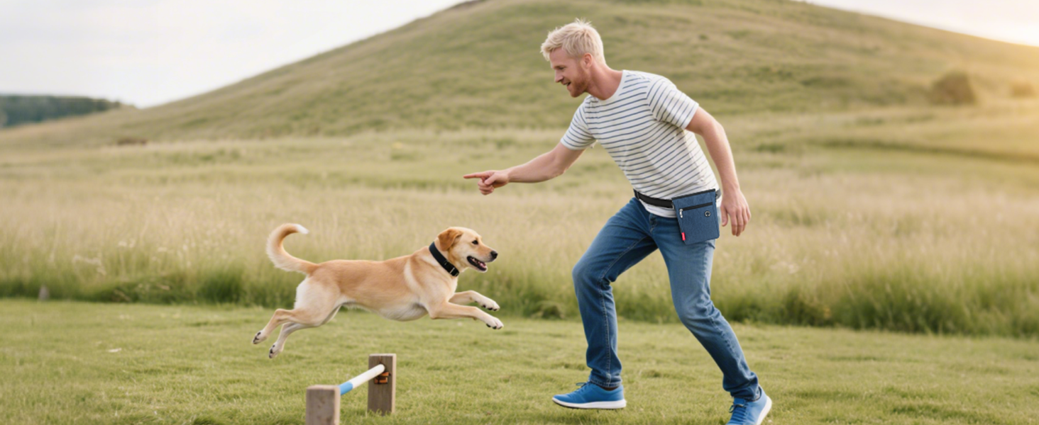 Фурнітура для собак з магнітною застібкою, 2025, практичний мішок для їжі, мішок для ласощів для собак з знімною внутрішньою кишенею | Диспенсер для відходів, блакитний