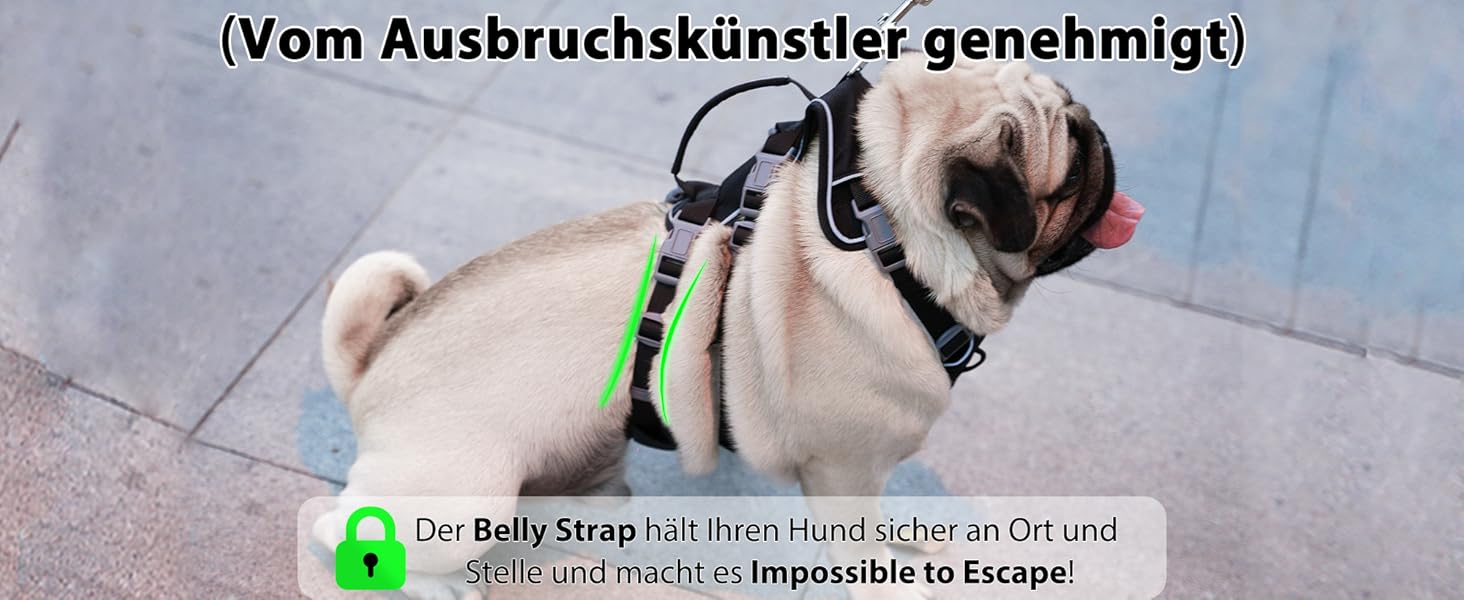 Нашийник для собак з повідком, безпечний нашийник від виривання, анти-тяговий нашийник з ручкою та світловідбиваючими елементами, легкий, регульований нашийник для середніх собак (Чорний, XS). Дуже маленький, чорний